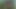Army guy's anus is ripped open and fucked deep by a huge black dildo on a tree in the forest