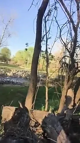 Doing As She Is Told