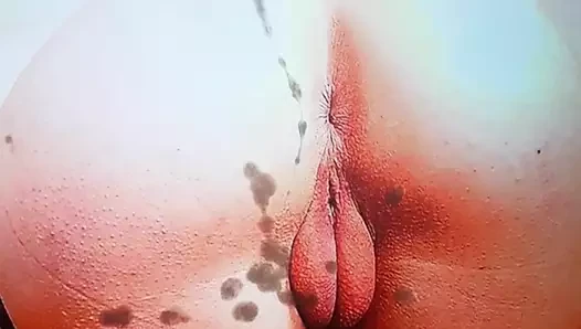 Hvygj