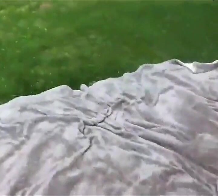 Pervert Pulls Out His Cock, You Won't Believe What Happened Next.