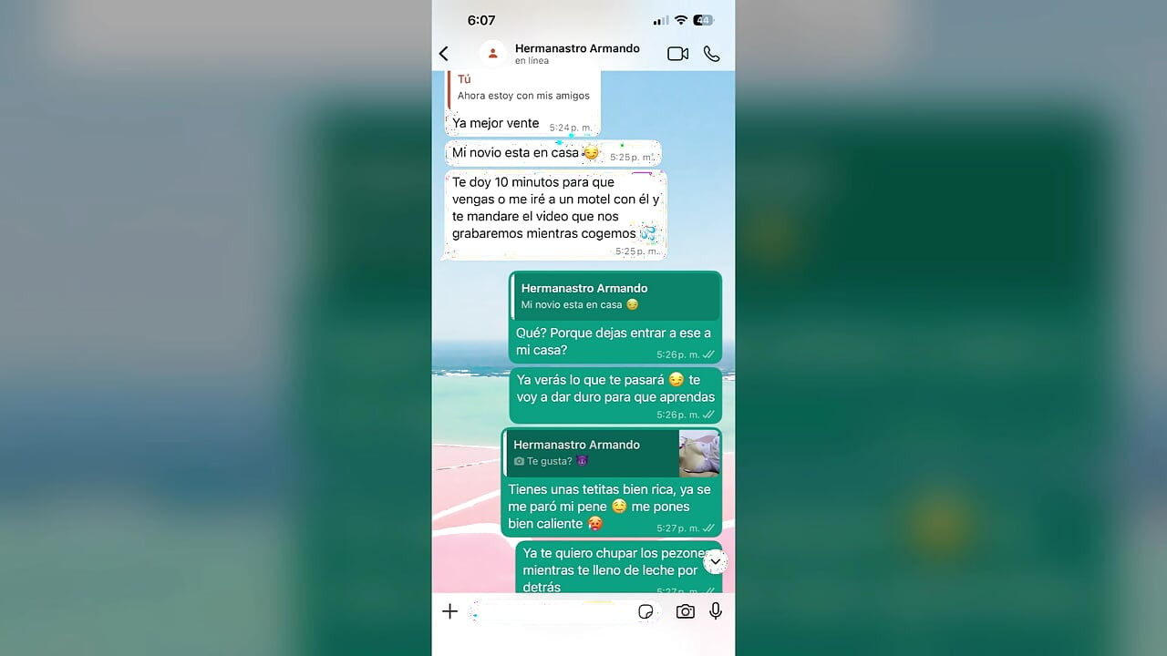 Hot WhatsApp Chat with My Stepsister Ends in ANAL Happy Ending