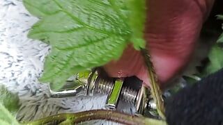 Cock nettles torture and stretching urethra