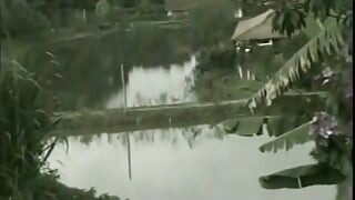 Tgirl blowing cock and getting fucked by her lover outdoors