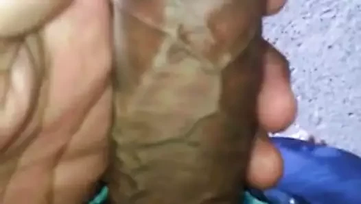 llego el lechero