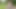 Trans teen flashing big tits and cock with masturbation