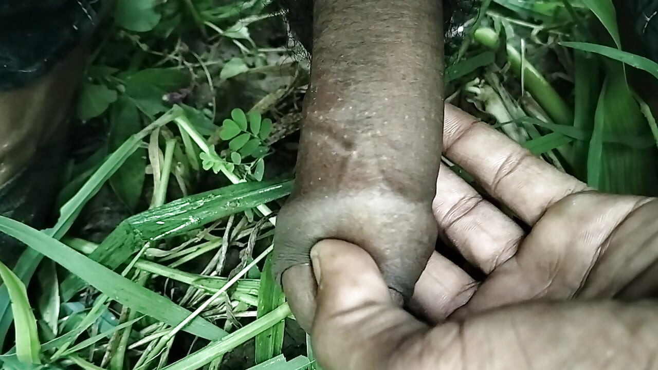 Hot in the fields