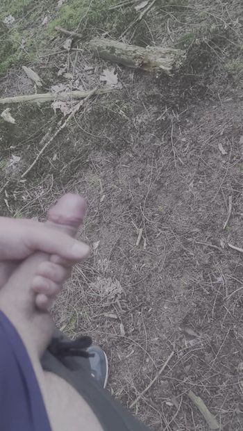 森の中でムラムラしたので、私はそれをジャークしなければならなかった(パブリックJO)