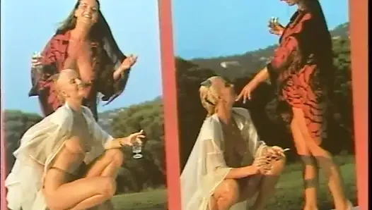 Erotik tutku 4 (1990)