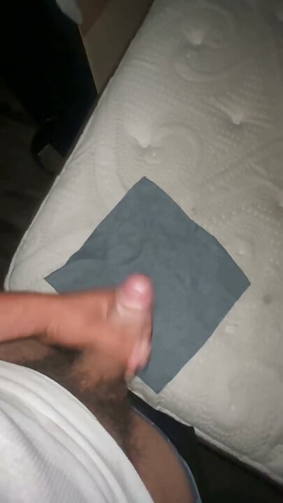 Bonito pau