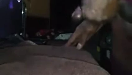 eve dönüş