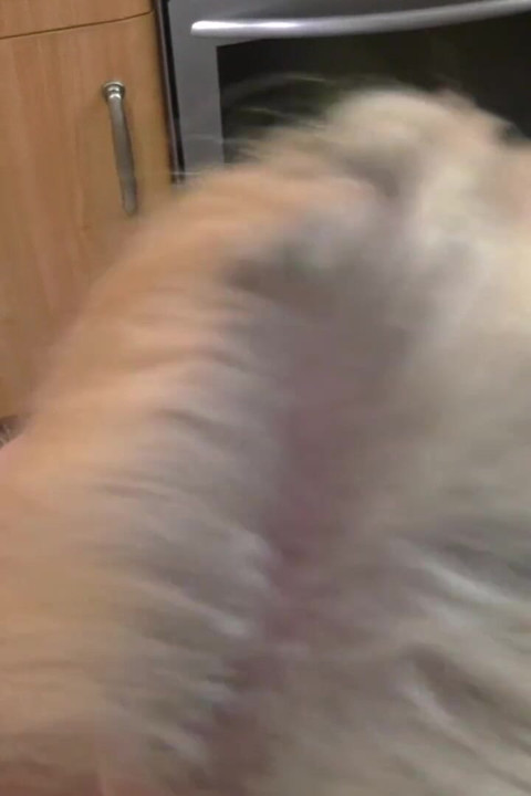 POV Blow Job and Fuck