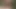 I WENT FOR A WALK IN THE FOREST, I GOT HOT AND WANTED TO MASTURBATE GOOD WITH MY BIG COCK CAMILO CAMPOS