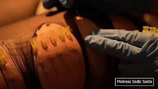 Needle Bondage and CBT