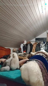 Pregled videozapisa