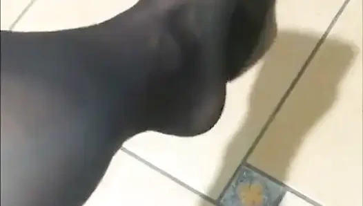 Cewek nyllady lagi asik main sepatu dan goyang-goyang di toko furnitur