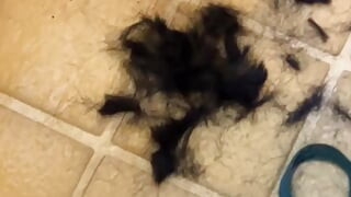 Mature mini ebony sex doll cums after haircut