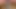 Tentacle fucking my ass and exploding in my ass and onto my face and then my cock explodes after eating cum