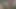 Bbw bbp seviyor - büyük güzel kedi