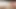 I Made This Exclusive Video Only for You Guys