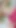 Must-share moment from "Pink Shirt Screams, Hypersexual Co-Worker Often Asks to Be During Work Hours"
