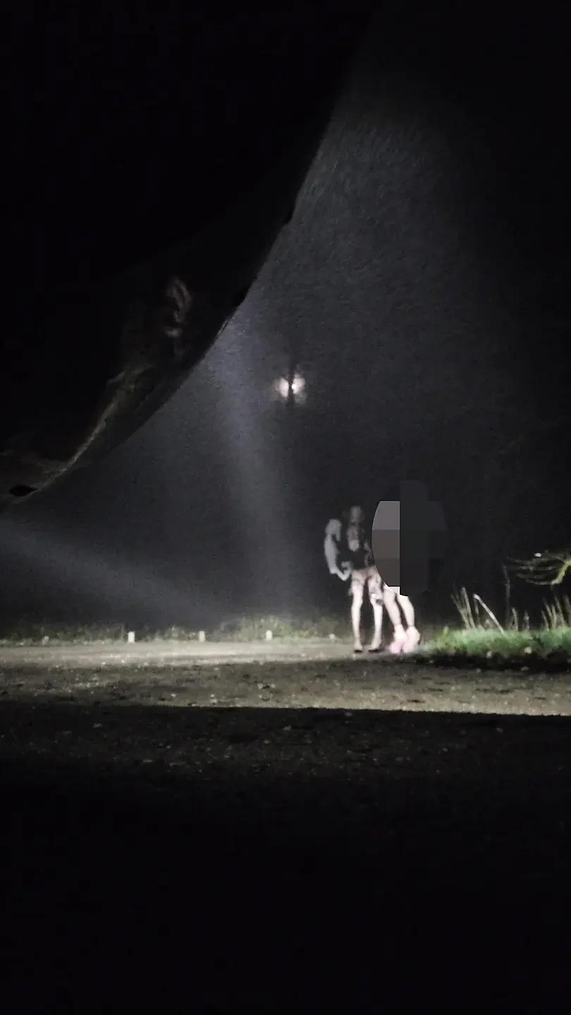 2 French 🛑transvestites offered in the forest. 4degrees 3hoo VaneSsaBiTCHx PariSChienneTrvprod91