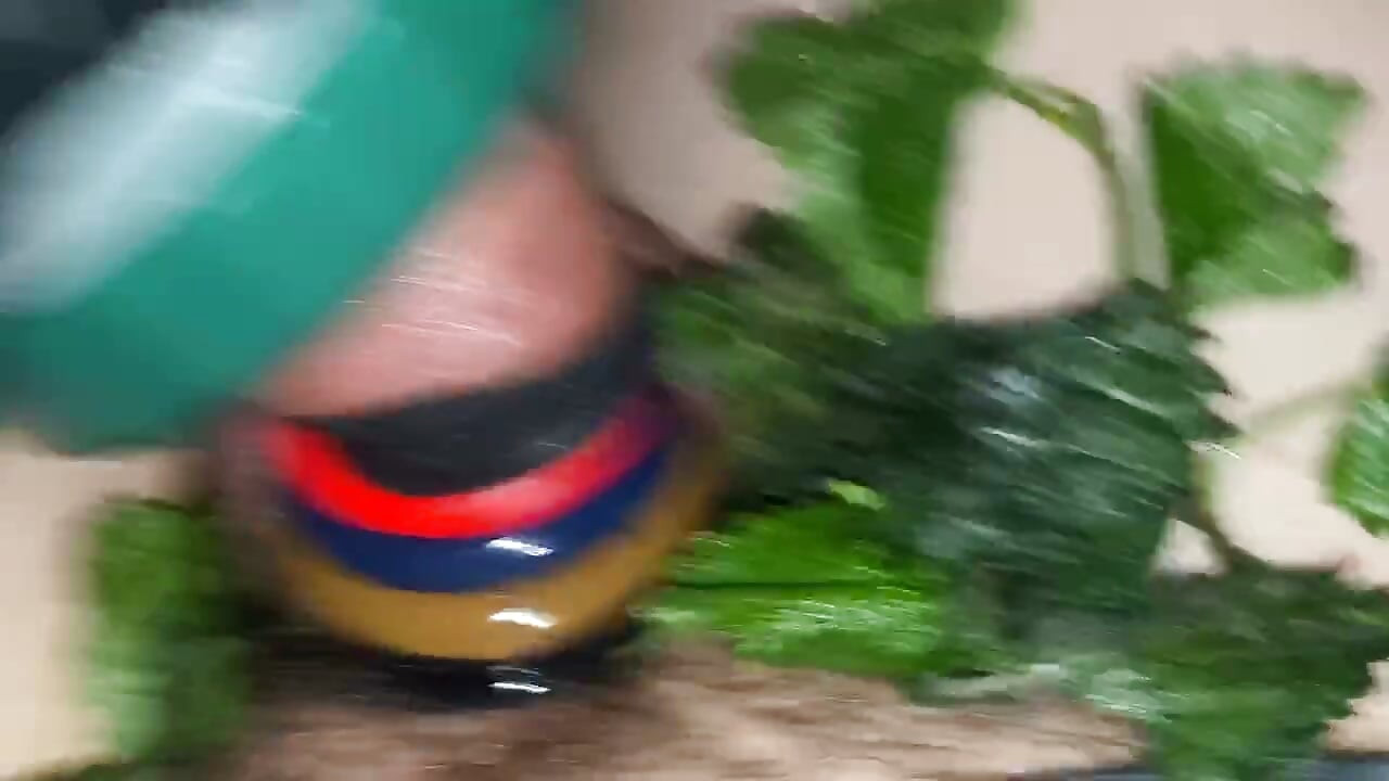 Brennnessel hart kochen Masturbation Penis extreme Brennnessel Spiel Schwanz hardcore