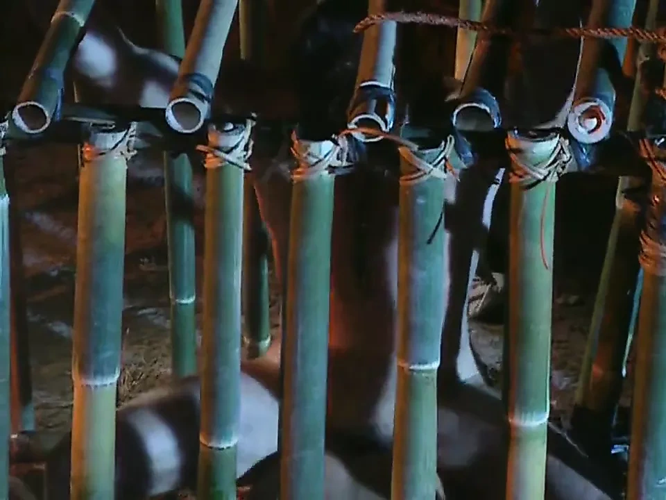 Sex Prisoners Of War