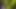 Cute 18 Teen Boy Can't Hold Pee so he Peeing in Nature. Male Public Peeing 4K