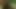 Ein kleines wesen im wald