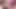 Big fat black lesbians pussy licking dildo playing