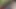 dörtlü s05e06