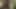 I Love Be Naked in the Forest and Masturbate