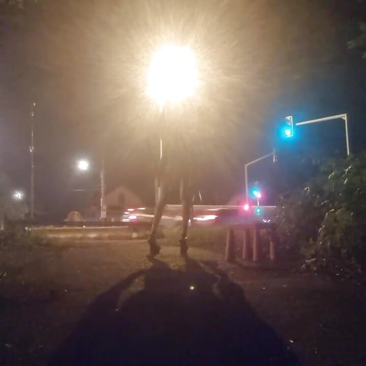 A whore in a mini-skirt with her ass, on the edge of the N7 in Brunoy. 2h00 Vanessabitchx Parischiennetrvprod⁹¹