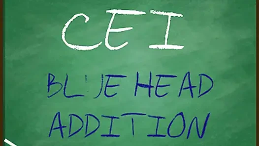 NUR AUDIO - CEI blue head zusatz