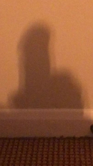 Shadow wank