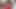 Yalnız Japon esmer duştan sonra ipeksi kırmızı bir bornoz içine giriyor ve kapıdaki kuryeyi baştan çıkarıyor