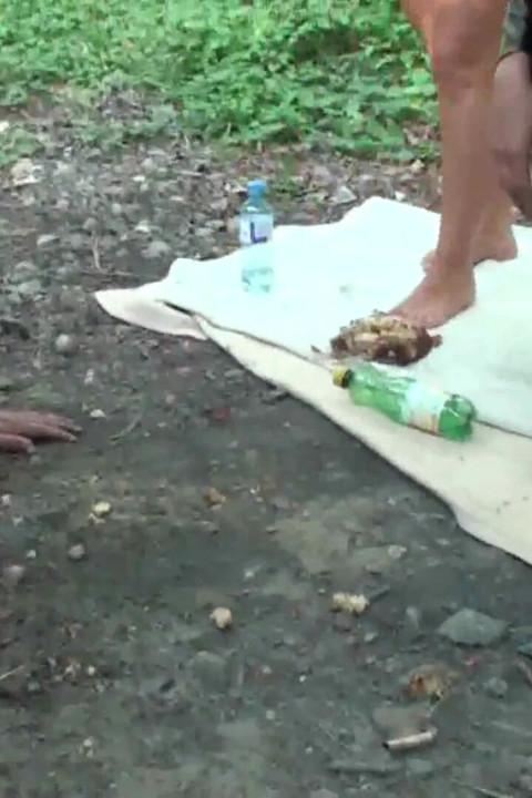 Picnic in the woods with a hungry begger