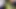 Sundhori Magi Rangpur. Happy New Year 2020 Sex Video