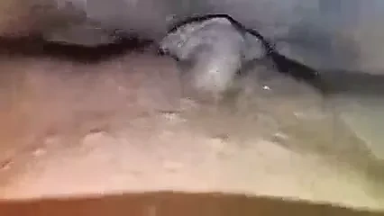 湿漉漉的女同阴户摩擦高潮