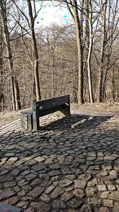 public park, dick jerked off