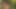 NAUGHTYNATURAL – Hairy Amateur Frankie XXX Wet Body Outdoor Solo Tease