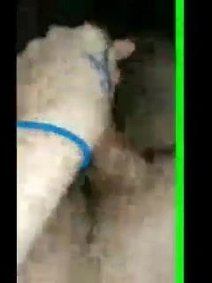 Love just stroking him