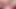 Trans Slut Loren Aprile Gaping and Jerking Off while Self fisting