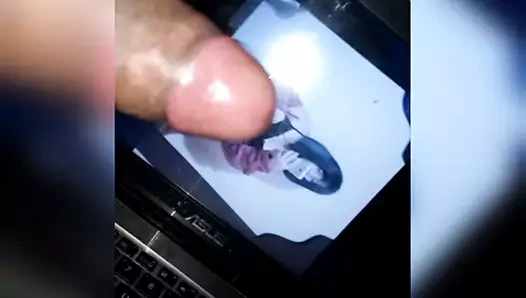 haraç japeruana