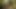 Sexy Butterfly Hotkinkyjo Fuck Her Ass with Very Long Dildo & Anal Prolapse at the Grassland