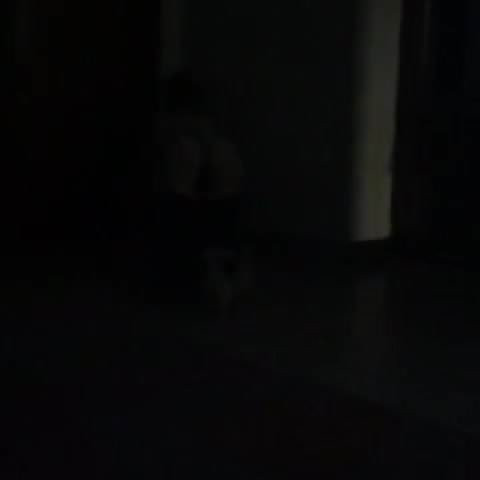 Troia