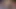 Ksu Colt and Masha Yang HAVE SHAKING SQUIRTING ORGASM during live stream