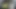 porno ceza 50