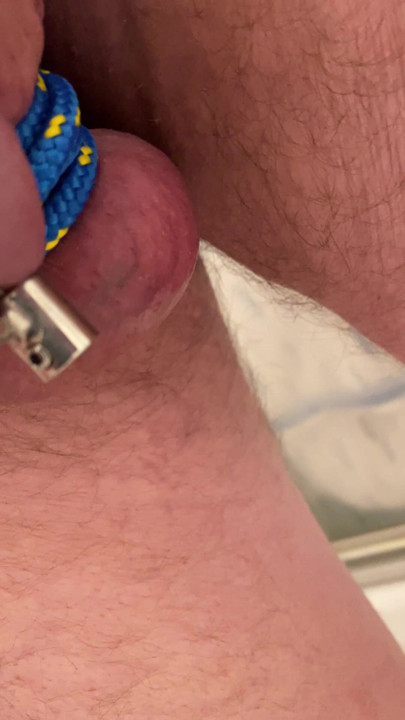 Kullini sidottu häkkiin