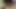desi güzel seksi bengalce kız striptiz